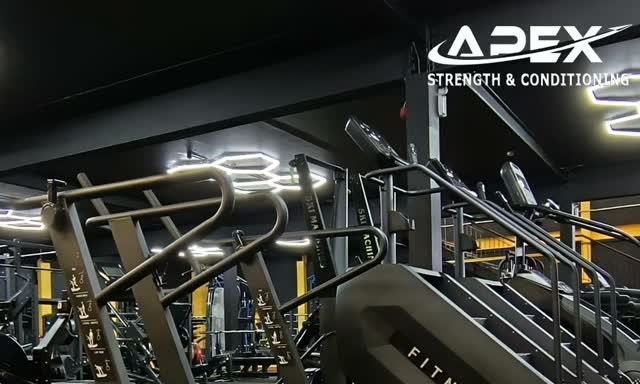 A line of curved treadmills on the Apex cardio floor