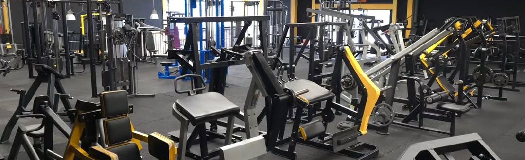 Panoramic strip of yellow-and-black plate-loaded machines